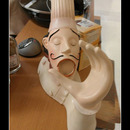 best of demotivators