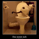 best of demotivators