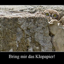 best of demotivators