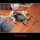 best of demotivators