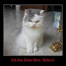 best of demotivators