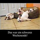 best of demotivators