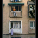 best of demotivators