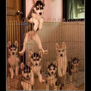 best of demotivators