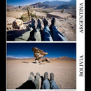 best of demotivators