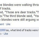 obviously a blonde note