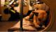 Moskau Wild Dogs Fahrt Subways Um City Center