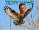 Tony Hawk