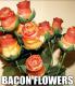 BACON FLOWERS