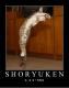 升 龙拳 (Shoryuken)