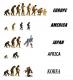 Evolution of Mankind