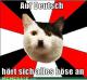 Nazi Cat