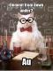 Wissenschaft cat