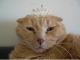 Rufen Sie mich an Prinzessin