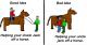 Gute Ideea / Bad Idea