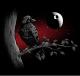 Darth Vader raven