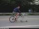 ShopBike