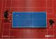 Non-Fairplay: Ping Pong
