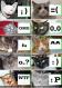 Emoticat