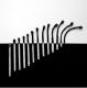 Matchstick Evolution.
