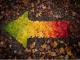 Herbst Spectrum