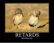 Retards