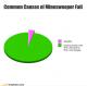 Häufige Ursachen von Minesweeper Fail-