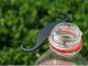 Moustache Flasche.