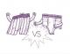 Boxer vs Pants