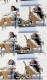 Snooki und ihre Theorien
