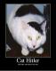 Hitler Cat