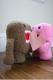 Domo Liebe