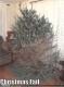 Christmas Tree FAIL