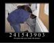 241543903