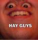 Hay Jungs