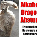 frisch