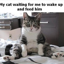 Are you going to feed me, or what