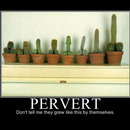 Ich wette du denkst an was anderes wie Kaktus ?!!