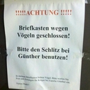 Briefkasten wegen Vögeln geschlossen - Win Bild