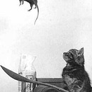 catapult