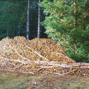 Coolest Wood Pile Ever
