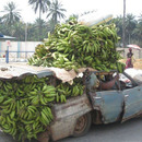 Der Bananaman