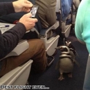 Der beste Flug aller Zeiten - Win Bild
