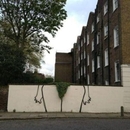 Der Rasen muss wieder einmal gestutzt werden - Win Bild