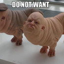 do not wait