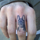 dogrintattoo