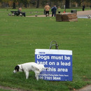 dogs must be kept on a lead