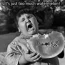 Es ist einfach zuviel Wassermelone