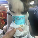 everybody loves junk foo