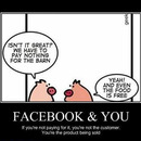faceboom and you